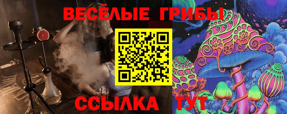 Новочеркасск  купить закладку  Вход с VPN  Псилоцибиновые грибы GOLDEN TEACHER 